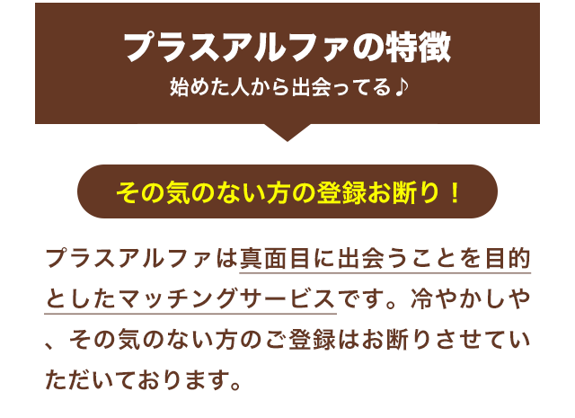 プラスアルファの特徴